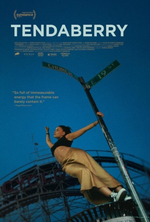 Тендаберри